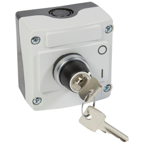   Legrand Osmoz szürke tokozat kulcsos 2 állású kapcsoló-Z - 24217