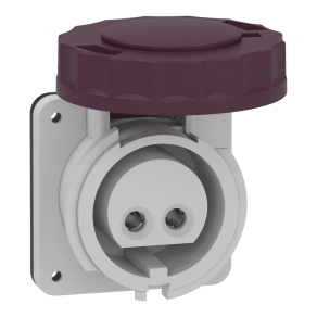   Schneider Electric Kaedra Box - 82951 - Mureva PK (Pratika) Panelre szerelhető egyenes aljzat, 2P, 16A, 25V, IP67, csavaros