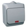 Schneider Electric Cedar Plus - WDE000614 - Egypólusú kapcsoló, jelzőfénnyel, IP44, szürke