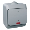 Schneider Electric Cedar Plus - WDE000621 - Kétpólusú kapcsoló, jelzőfénnyel, IP44, szürke