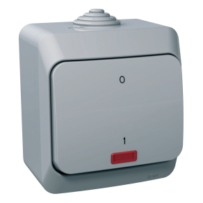   Schneider Electric Cedar Plus - WDE000621 - Kétpólusú kapcsoló, jelzőfénnyel, IP44, szürke