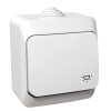 Schneider Electric Cedar Plus - WDE000513 - Egypólusú nyomó, lámpajellel, IP44, fehér