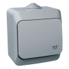 Schneider Electric Cedar Plus - WDE000613 - Egypólusú nyomó, lámpajellel, IP44, szürke