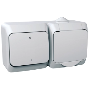 Schneider Electric Cedar Plus - WDE000502 - 2P+F csatlakozóaljzat, kétpólusú kapcsolóval, IP44, fehér