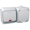 Schneider Electric Cedar Plus - WDE000503 - 2P+F csatlakozóaljzat, kétpólusú jelzőfényes kapcsolóval, IP44, fehér