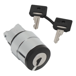 Schneider Electric Harmony XB4 - ZB4BG620 - fém választókapcsoló fej, Ø22, 3131A kulcsos, bal poz. kivehető, jobbról visszatérő, 2 állású