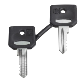 Schneider Electric Harmony XB4 - ZBG3131A - pótkulcs kulcsos kapcsolóhoz, 3131A, 2db