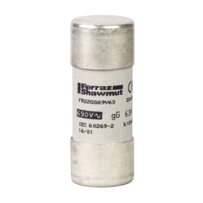   Schneider Electric TeSys DF, LS1/GK1 - DF2FN100 - gG Biztosítóbetét 22x58 100A