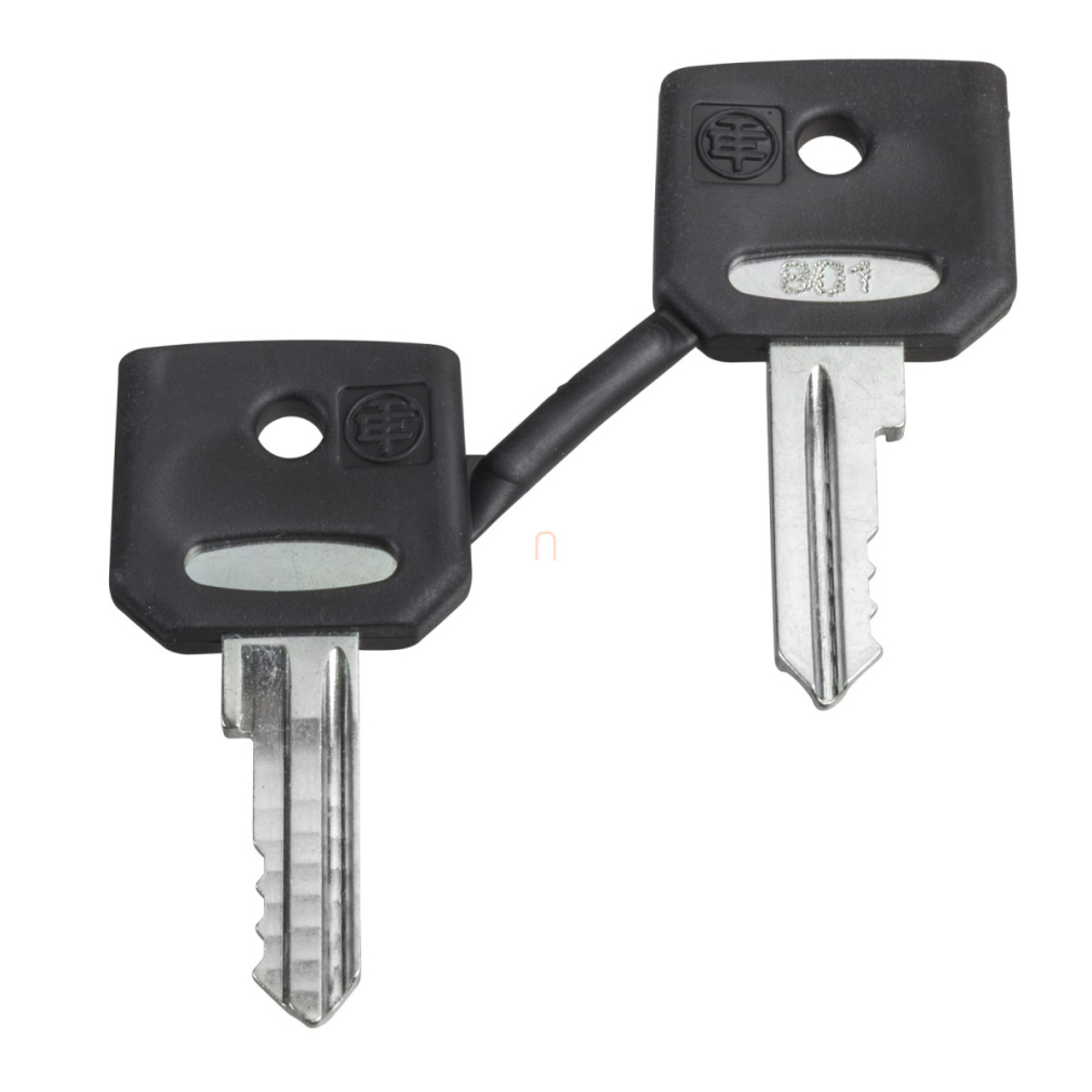 ZBG-455P  Kulcs 455 tip. Védővel Schneider