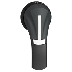   Schneider Electric TeSys - GS2AH330 - Vezérlőkar megszakító szakaszolóhoz