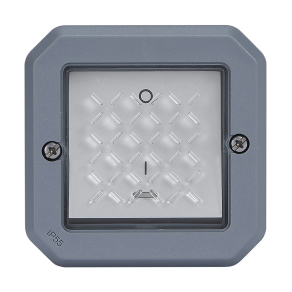   Legrand Plexo 55 kétpólusú kapcsoló ellenőrzőfénnyel 16A, szürke - 069528L