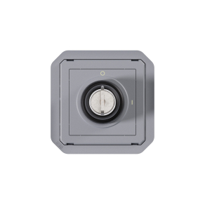   Legrand Plexo 55 kulcsos kapcsoló 2 állású, szürke - 069534L