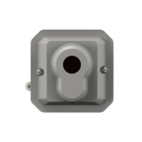   Legrand Plexo 55 kulcsos kapcsoló 2 állású-kulcs nélkül, szürke - 069706L