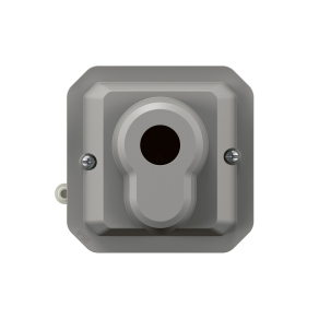   Legrand Plexo 55 kulcsos kapcsoló 3 állású-kulcs nélkül, szürke - 069705L