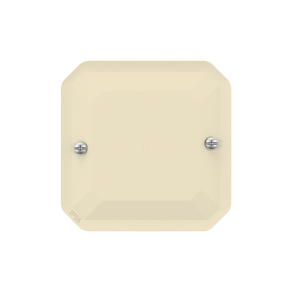 Legrand Plexo 55 vakfedél, elefántcsont - 069847L