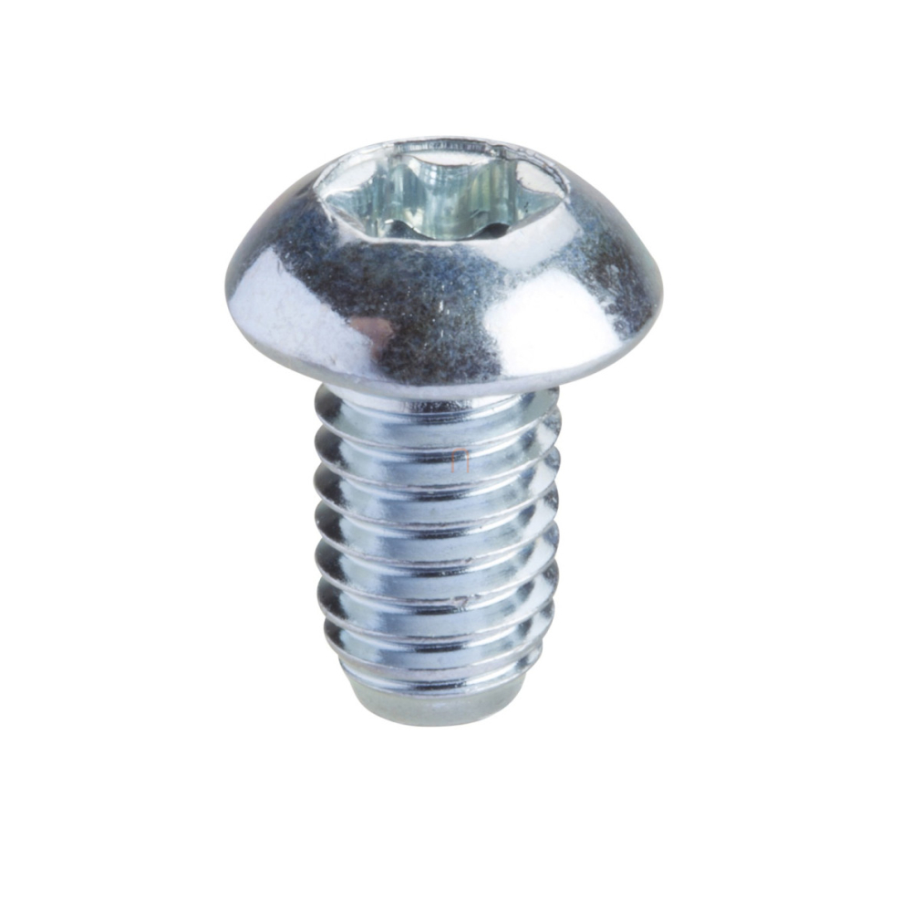 Torx screw T30 (M6x10) NSYSPM6 Schneider