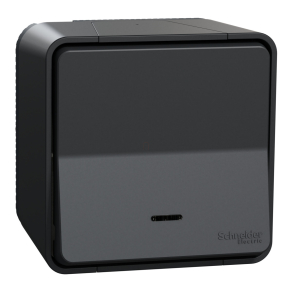   Schneider Electric Mureva Styl - MUR35024 - Váltókapcsoló, fényjelzős (jelző vagy ellenőrző), komplett, antracitszürke