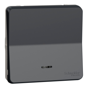   Schneider Electric Mureva Styl - MUR35025 - Váltókapcsoló, fényjelzős (jelző vagy ellenőrző), antracitszürke