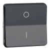 Schneider Electric Mureva Styl - MUR35034 - Kétpólusú kapcsoló, 16 AX (102), antracitszürke