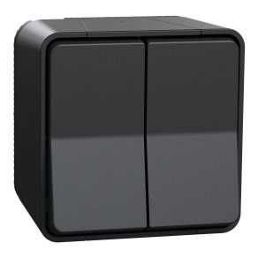 Schneider Electric Mureva Styl - MUR35022 - Kettős váltókapcsoló, komplett (106+6), antracitszürke