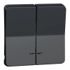 Schneider Electric Mureva Styl - MUR34205 - Kettős billentyű, jelzőfényes, antracitszürke