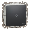 Schneider Electric Sedna Design & Elements - SDD214132 -Egypólusú nyomó lámpajellel, rugós bekötés, 10A, IP44, antracit