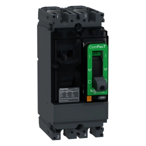Schneider Electric ComPacT NSX NA (2021) - C252250S - Kapcsoló NSX250NA AC 2P 250A