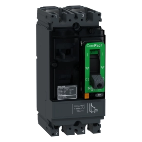 Schneider Electric ComPacT NSX (2021) - C10S2TM063 - Megszakító NSX100S AC/DC, 70 kA 415 VAC, TMD kioldóegység 63 A, 2P2d