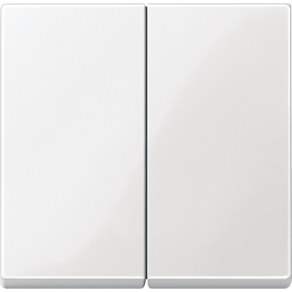   Schneider Electric Merten System M - MTN432519 - Dupla billentyű, System-M, polárfehér