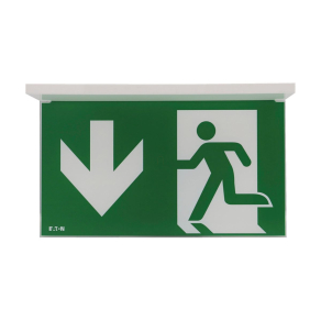   Eaton nexitech LED piktogram panel 30 d-d iso lite, -nexi-plexl-dd