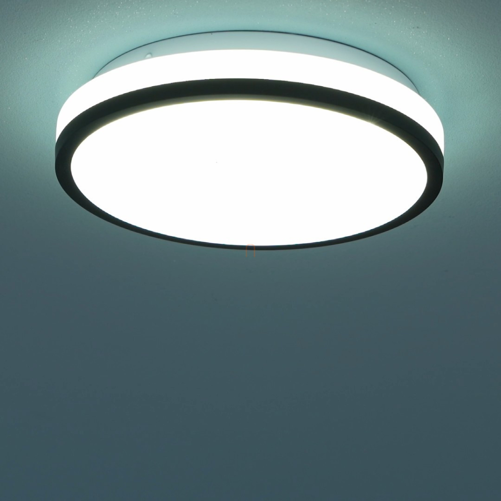 Mennyezeti LED lámpa, 22 cm, hidegfehér fényű - Nigara Globo 3456-015