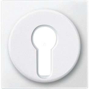   Schneider Merten Fedlap, kulcsos kapcsolókhoz, System-M, mattfehér 318119