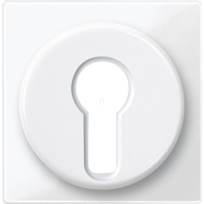   Schneider Merten Fedlap, kulcsos kapcsolókhoz, System-M, polárfehér 319519