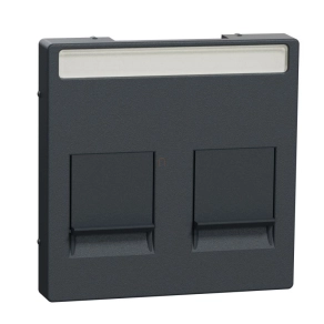   Schneider Electric Merten System-M MEG4564-0414 fedlap 2xRJ45 moduláris betétekhez, feliratozható, antracit