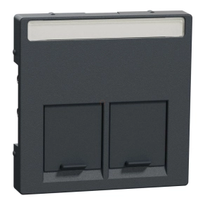   Schneider Merten Fedlap, 2xRJ45 aljzathoz, feliratozható, System-M, antracit MEG4574-0414