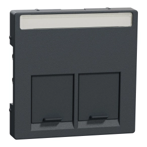 Schneider Merten Fedlap, 2xRJ45 aljzathoz, feliratozható, System-M, antracit MEG4574-0414