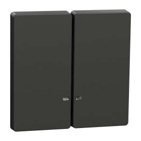 Schneider Electric Merten System Design - MEG3420-6034 - Dupla billentyű, fényjelzős funkciókhoz, antracit