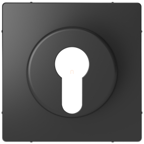   Schneider Electric Merten System Design - MEG3886-6034 - Fedlap, kulcsos kapcsolókhoz, antracit