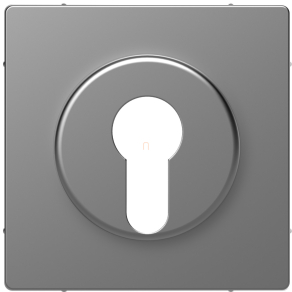   Schneider Electric Merten System Design - MEG3886-6036 - Fedlap, kulcsos kapcsolókhoz, acél