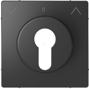   Schneider Electric Merten System Design - MEG3883-6034 - Fedlap kulcsos redőnyvezérlőhöz, antracit