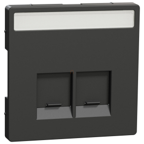   Schneider Electric Merten System Design - MEG4574-6034 - Fedlap 2xRJ45 aljzathoz, feliratozható, antracit