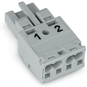 Wago 770-242 WINSTA® MIDI aljzat, 2 pólusú, B kódolású, szürke