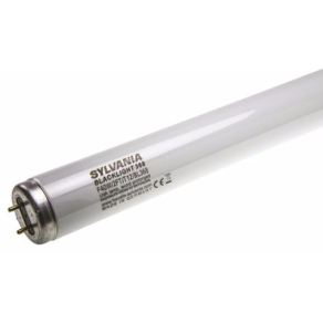   Sylvania 0001638 Fénycső 40W 2F/T12 rovarcsapdába 590mm BL368