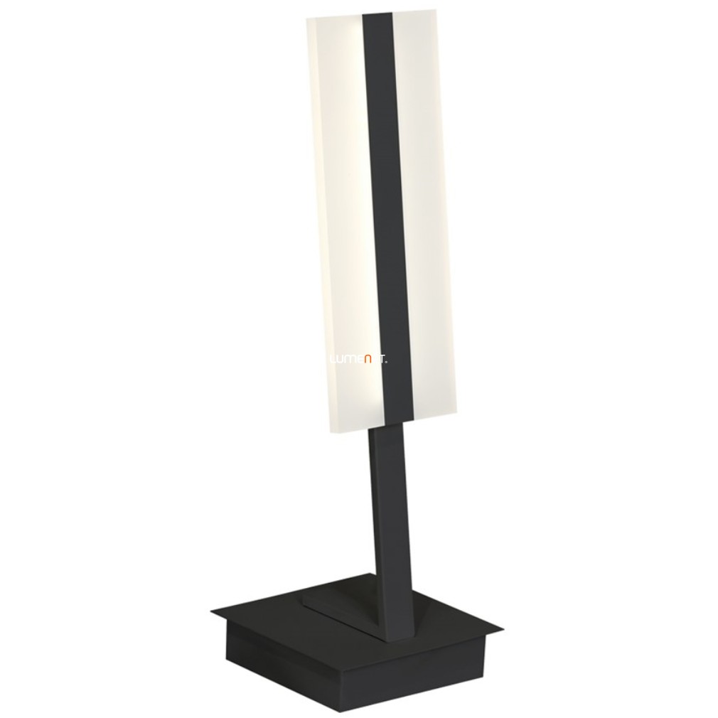 Asztali LED lámpa 12 W, hidegfehér, fekete (Ray)