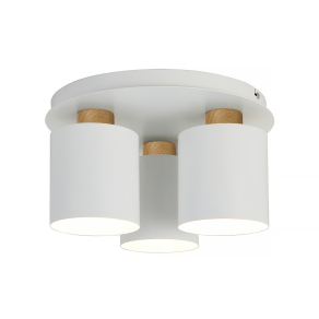 Mennyezeti lámpa - Whitish Klausen KL163025