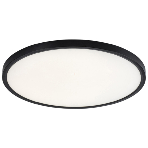   Kerek mennyezeti LED lámpa, 50x2,5 cm - Paulos Rábalux 71074