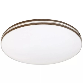 Kerek mennyezeti LED lámpa, 34 cm - Oscar-2 Rábalux 71173