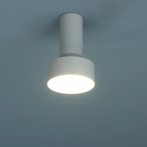 Mennyezeti LED lámpa, 11 cm - Ovidia Rábalux 71326