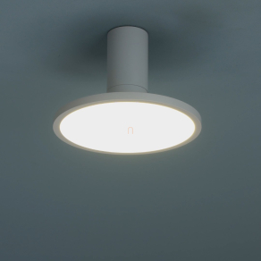 Mennyezeti LED lámpa, 20 cm - Ovidia Rábalux 71328