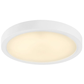   Kültéri mennyezeti LED lámpa 30 W, 3000 lm, hidegfehér fényű - Shaun Plus 75073 Rábalux